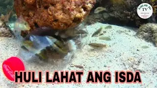 DIY Fish Trap