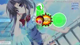 Y&CO-Poodle - OSU S RANK!!!!!!!!!!!!!