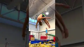Why We NEVER Dive In The Foam Pit