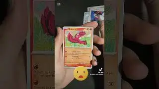 #pokemon #vstaruniverse #pokemoncards #pokemonchannel #pokemontcg #pokemonfandom #cards #nintendo