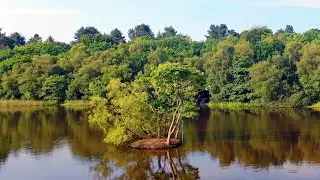 ONE OF THE LAKES IN SUTTON PARK , WEST MIDLANDS, UK. DRONE FOOTAGE 4K