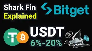 Shark Fin on Bitget Explained