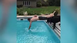 Ultimate Funny Dogs In 5 Minute - Try Not To Laugh