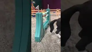 Stop motion   Follow my TikTok! #schleich #tiktok #schleichstopmotion