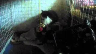 MOV09632