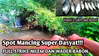Strike Nilem babon di sungai deras - dan full Strike ikan Wader dan tawes !!