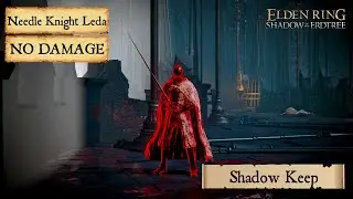 Elden Ring DLC #48 - Needle Knight Leda (w/ Hornsent) (Shadow Keep) [No Damage, NG+]