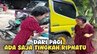TINGKAH RIPNATU || BISA MEMBUAT TERTAWA SEKALIGUS MUMET⁉️