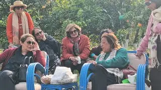 Девичник на сбор апельсинов...
