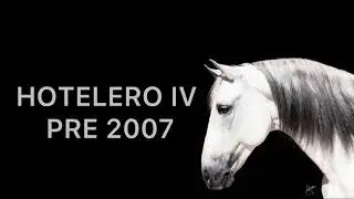 HOTELERO IV — PRE horse [SOLD]