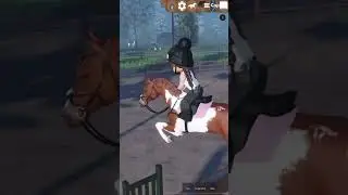 Tight jump with Milo my project horse