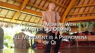 All Movement is a Phenomena of Q: A Teachng Moment with Master Liu Deming