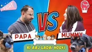 Ladai Hogayi Bhayanak Walli - Mummy Papa Dono Ho Rahe Hain Alag. Rottweiler & German Shepherd Chose.