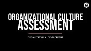 Organizational Culture Assessment