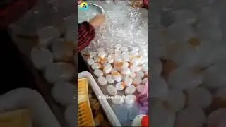 Why Chinese Make Fake Eggs. By It's Magic Crafts