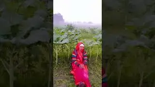 #dance साथ छोड़ जाए भैयाहै #song 🙏🙏🤣