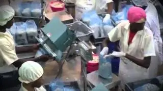 Process Improvement  Raw Shrimp Packaging Factory: Integrated System