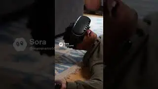 VR Pet Moments &ndash; Confused Cat Watches Human Lose It #funny #hilariousfails #comedy