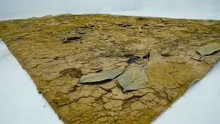 Dry Carpet! Can It Be Restored? Carpet Cleaning Satisfying | ASMR Carpet Cleaning