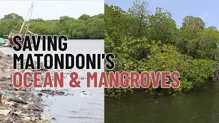 Saving Matondoni's Ocean & Mangroves
