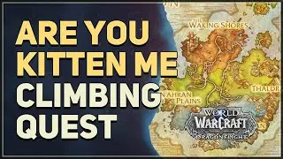 Are You Kitten Me WoW Quest