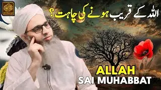 Allah Sai Muhabbat? || Mufti Muhammad Ayoub Sahab Naqasbandi DB