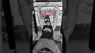 chest pawer #gym #fitfam #motivation #gymmotivation #strengthtraining #love #train #fitnessjourney