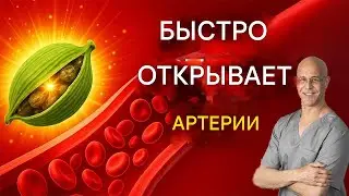 ЭТОТ «ЗАБЫТЫЙ УРОЖАЙ» НЕЗАМЕТНО ВОССТАНАВЛИВАЕТ АМЕРИКАНСКИЕ ФЕРМЫ — И ВАШ САД МОЖЕТ СТАТЬ СЛЕДУЮЩИМ