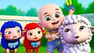 Baa Baa Black Sheep Song New Compilation | Animal Farm Song | Baby Cartoon Songs & Rhymes|Bebe Bobo