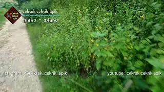 Jalan menuju pantai pulodoro dan pantai kedungceleng malang