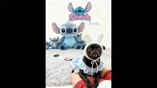 ❤️🧡💛💚🩵💙💜#dog #puppy #shorts