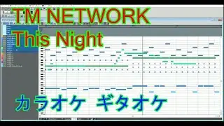 TM NETWORK THIS NIGHT カラオケ　ギタオケ　Off Vocal　Instrumental