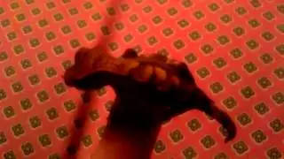 Crested Gecko Name Ideas?
