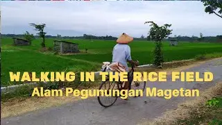 Walking At The Ricefield -Magetan- Indonesia RoadView (Susuri Alam Pedesaan yang asri, tanpa polusi)