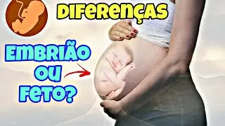 DIFEREN&Ccedil;AS entre EMBRI&Atilde;O e FETO
