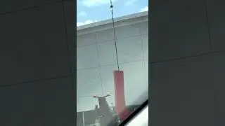Meijer sign erection
