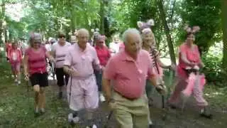 Ampthill Park Nordic Walking