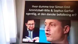 Sophus Garfiel - Ulovligt partiarbejde - Liberal Alliances 2030-plan - Bortforklaringerne til FT