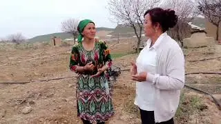 Иштихон. Чимқўрғон маҳалласидан Дилноза Тўрақулова