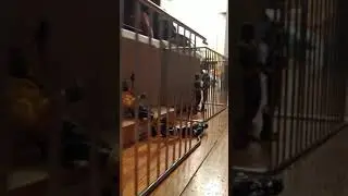 The prisoners of authority released