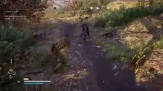 Assassin creed gameplay|Austin sage