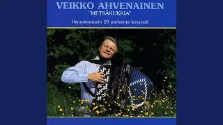 Ilta Syväjärvellä