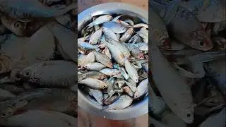 cooking channel #cookingchannel #trending #fees#puti March