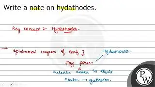 Write a note on hydathodes.