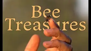 On-Demand Online Course // Bee Treasures: Practical Magic with Hive Products