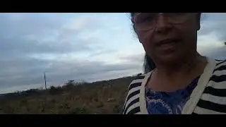 O pasto na seca