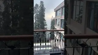 Serenity and peace  #nathiagali #doubletreebyhilton #travel #youtubeshorts #shortsviral #mountains
