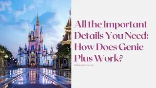 ALL THE IMPORTANT DETAILS YOU NEED: HOW DOES GENIE PLUS WORK?