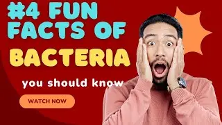 Mind-Blowing Bacteria Facts! 🤯 | Microbiology Fun Facts You Didn&rsquo;t Know!