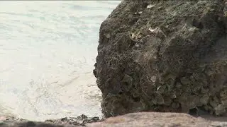 Girl dies after being struck by lightning off Tybee Island